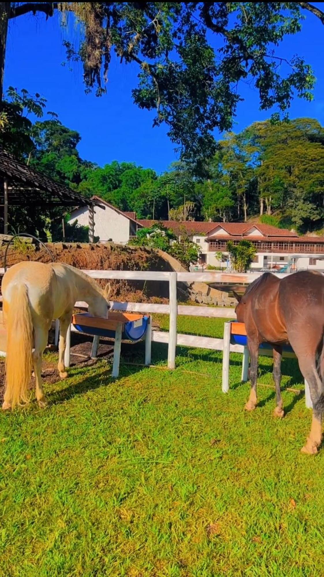 Fazenda Jequitiba Nova Friburgo